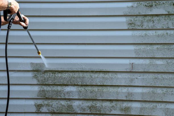 Best Demolition Debris Removal  in Forestde, AL